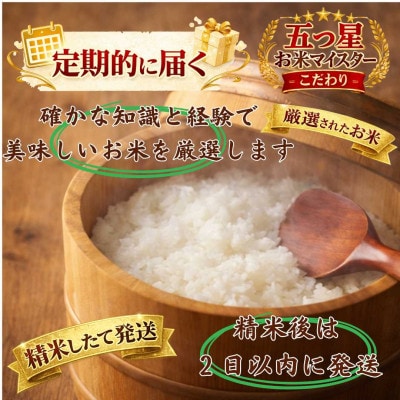 【毎月定期便】さがびより白米10kg【5kg×2袋】(江北町)全3回