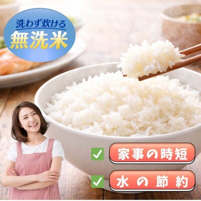 【毎月定期便】【無洗米】『夢しずく』5kg(江北町)全6回