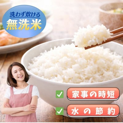 【毎月定期便】【無洗米】『夢しずく』5kg(江北町)全10回