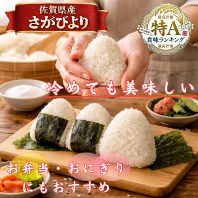 【2ヵ月毎定期便】さがびより白米10kg【5kg×2袋】(江北町)全6回