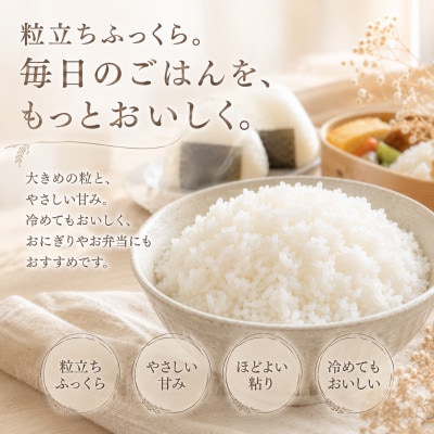 【毎月定期便】さがびより白米10kg【5kg×2袋】(江北町)全3回