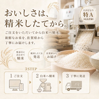 【毎月定期便】さがびより　白米10kg【5kg×2袋】(江北町)全10回