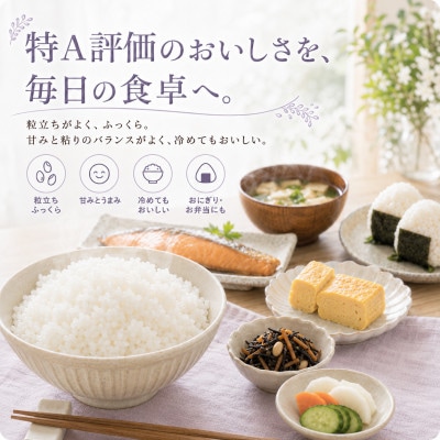 【毎月定期便】【無洗米】『夢しずく』5kg(江北町)全6回