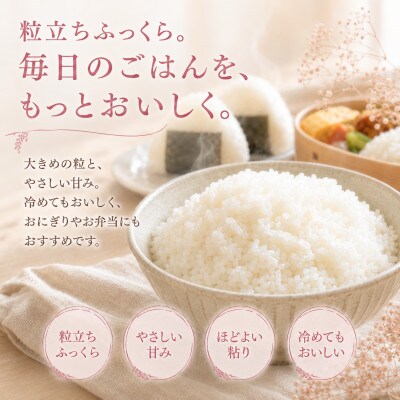 【2ヵ月毎定期便】『夢しずく』白米5kg(江北町)全2回