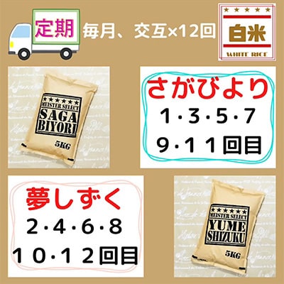 2023年3月発送開始『定期便』特A『さがびより』と『夢しずく』白米5kg食べ比べ!全12回