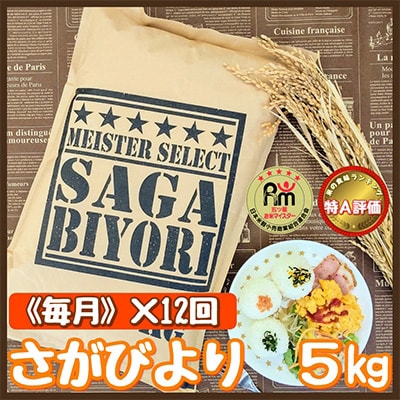 2023年4月発送開始『定期便』特A『さがびより』白米5kg!五つ星お米マイスター厳選!全12回