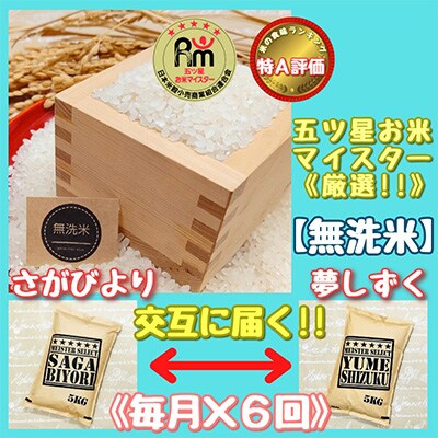 2023年7月発送開始『定期便』【無洗米】特A『さがびより』と『夢しずく』5kg食べ比べ!全6回