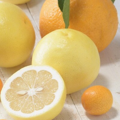 季節の柑橘をお届けします。佐賀産かんきつ約5kg(江北町)