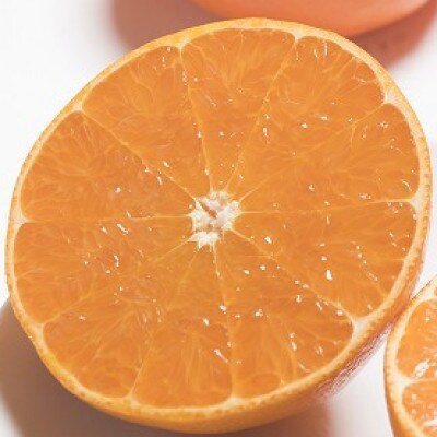 【2026年発送先行受付】佐賀産高級かんきつ「はまさき」約3kg箱(7-12玉)(江北町)
