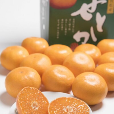 【2026年発送先行受付】みかんの「大トロ」佐賀産かんきつ・せとか　約3kg(7-12玉)(江北町)