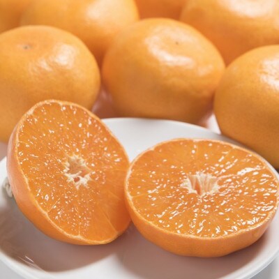 【2026年発送先行受付】みかんの「大トロ」佐賀産かんきつ・せとか　約3kg(7-12玉)(江北町)