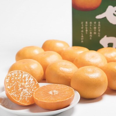 みかんの「大トロ」佐賀産かんきつ・せとか 約1.5kg(3-6玉)(江北町)
