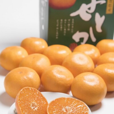 【2026年発送先行受付】佐賀産かんきつ・せとか　約1.5kg(4-7玉)(江北町)