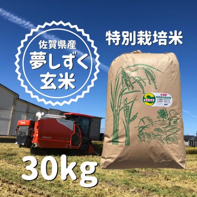 【佐賀県特別栽培米】令和5年産 夢しずく 玄米30kg【一等米】