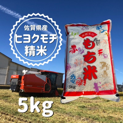 【佐賀県産】令和5年産ヒヨクモチ　5kg【精米/もち米】