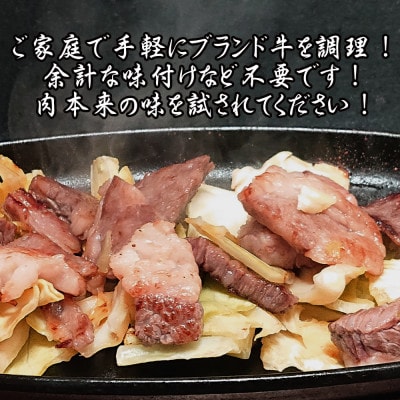 佐賀牛 はしっこちゃん <ロース カルビ> 計1.5kg(500g×3パック)(江北町)　