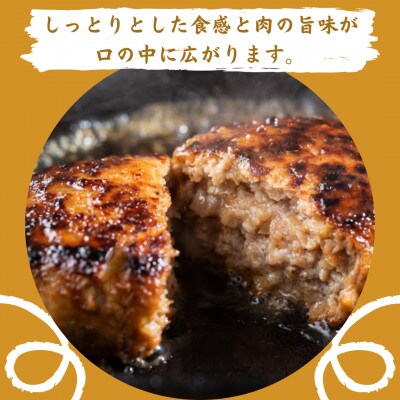 A5・A4 佐賀牛 プレミアムハンバーグ【佐賀牛100%使用】150g×5個(江北町)