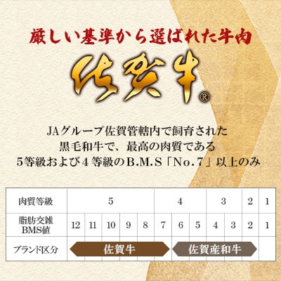 A5ランク佐賀牛 ヒレ ブロック 1kg(江北町)