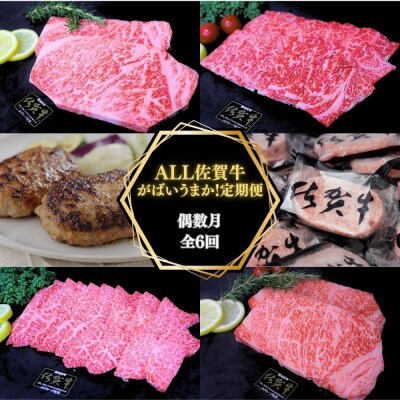【発送月固定定期便】ALL佐賀牛がばいうまか!偶数月全6回