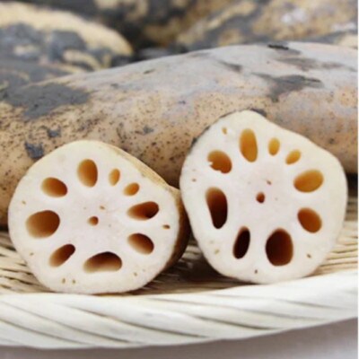 【さとふる限定】佐賀江北産　昔蓮根(泥付き)2kg