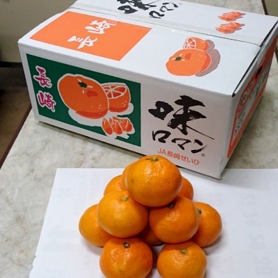 【諫早青果】長崎みかん 味ロマン5kg