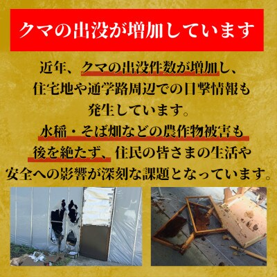 【返礼品なし】クマ被害対策支援(宮城県七ヶ宿町) 10,000円