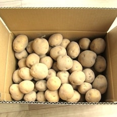 有機馬鈴薯　10kg | ふるさと納税のお礼品