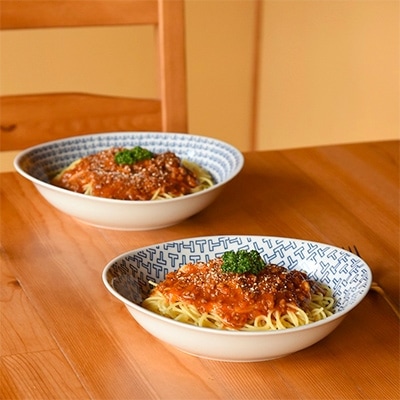【波佐見焼】natural69 カレーパスタ2枚セット ウッズ/ティーズ QA61
