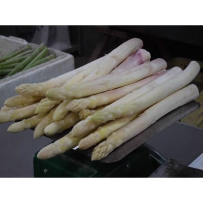 三木町産ホワイトアスパラガス　1.0kg