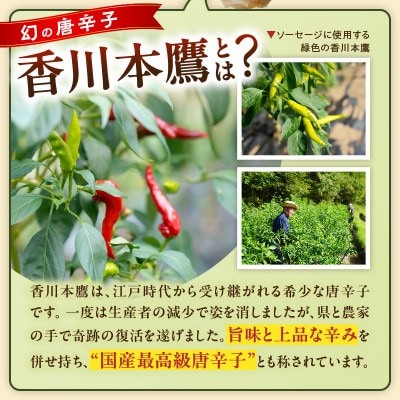 ドイツ食肉マイスターが作るソーセージアソート