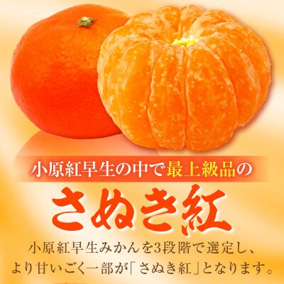 ハウスさぬき紅みかん　化粧箱入り