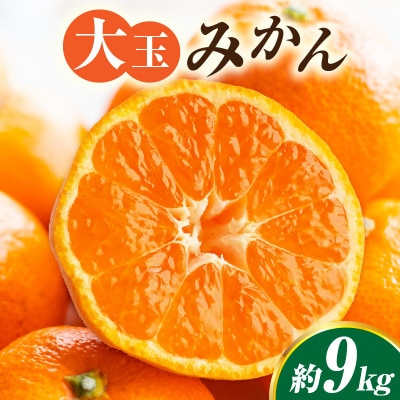 大玉みかん　約9kg
