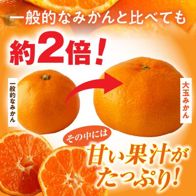 大玉みかん　約9kg