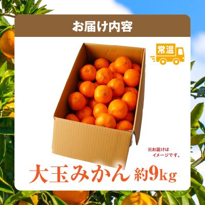 大玉みかん　約9kg