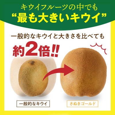 さぬきゴールドキウイ　約2.5kg
