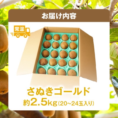 さぬきゴールドキウイ　約2.5kg