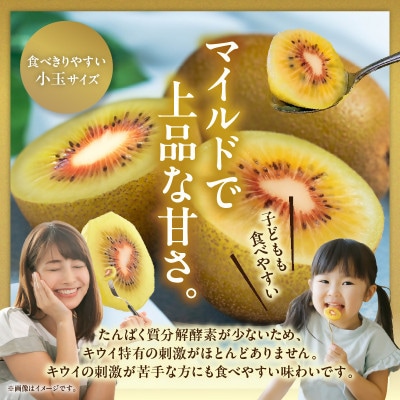 さぬきエンジェルスイートキウイ(小玉)約2kg