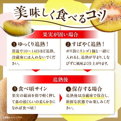 さぬきエンジェルスイートキウイ(小玉)約2kg