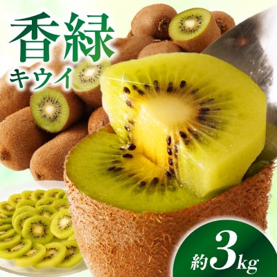 香緑(こうりょく)キウイ　約3kg