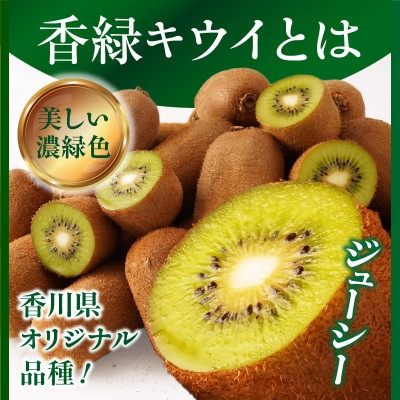 香緑(こうりょく)キウイ　約3kg