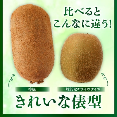 香緑(こうりょく)キウイ　約3kg
