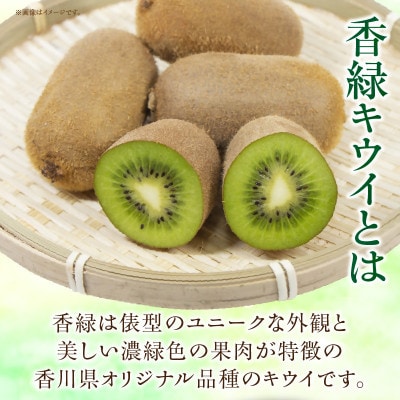 香緑(こうりょく)キウイ　約3kg