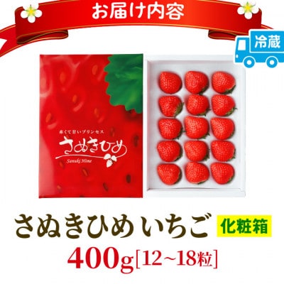 【年内発送】三木町地域いちご部会「さぬきひめ」400g化粧箱