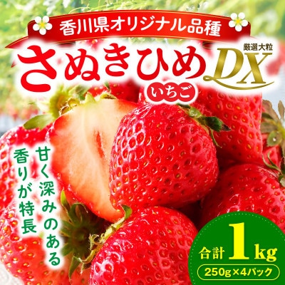 【年内発送】三木町地域いちご部会「さぬきひめ」1kgDXパック