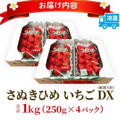 【年内発送】三木町地域いちご部会「さぬきひめ」1kgDXパック