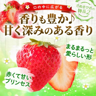 【年内発送】三木町地域いちご部会「さぬきひめ」1kgDXパック