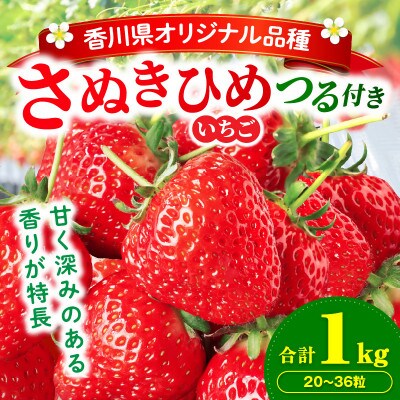 三木町地域いちご部会「さぬきひめ」大粒つる付き1kg