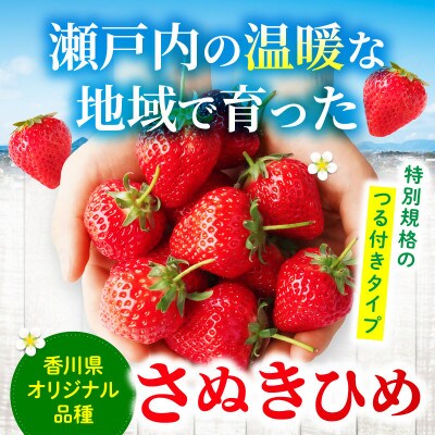 三木町地域いちご部会「さぬきひめ」大粒つる付き1kg