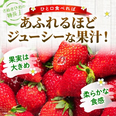 三木町地域いちご部会「さぬきひめ」1.5kgDXパック