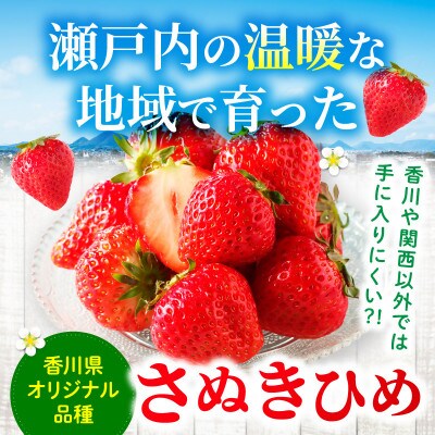 三木町地域いちご部会「さぬきひめ」1.5kgDXパック